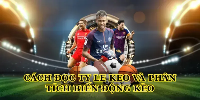 Cách đọc Ty le keo và phân tích biến động kèo